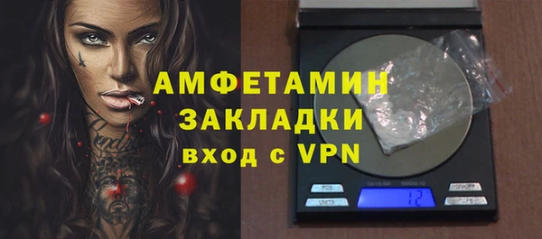 ГАЛЛЮЦИНОГЕННЫЕ ГРИБЫ Балахна
