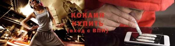 ГАЛЛЮЦИНОГЕННЫЕ ГРИБЫ Балахна