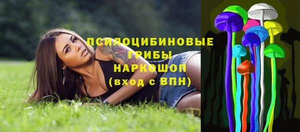 ГАЛЛЮЦИНОГЕННЫЕ ГРИБЫ Балахна